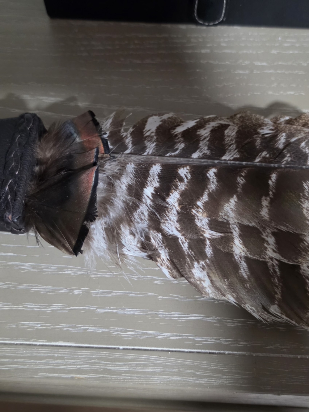 Natural Feather Hair Accessory in Brown and White